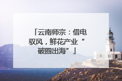 云南师宗:借电驭风,鲜花产业“破圈出海”